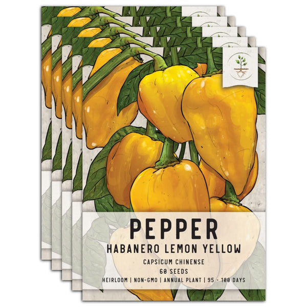 Lemon Habanero Pepper Seeds For Planting (Capsicum chinense)