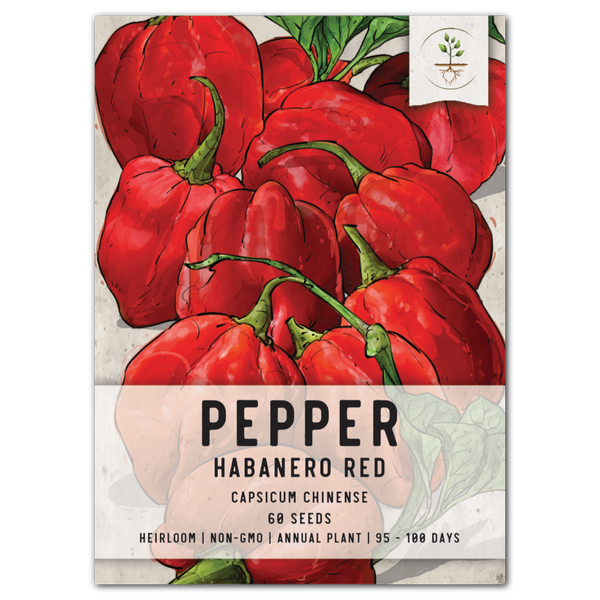Red Habanero Pepper Seeds For Planting (Capsicum chinense)