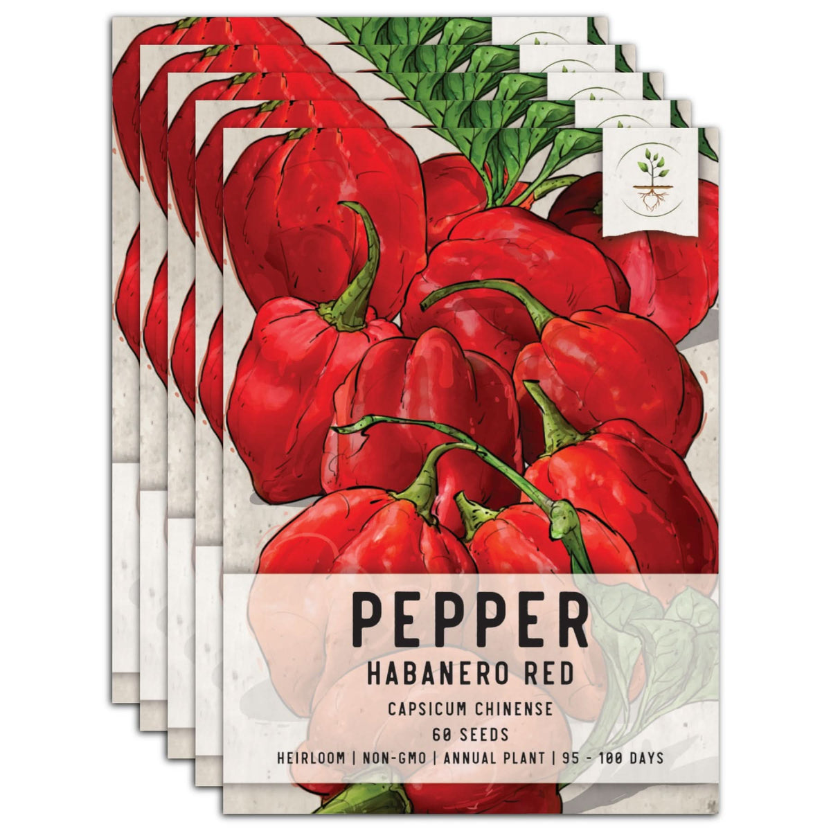 habanero plant seeds Red Habanero Pepper Seeds (Capsicum chinense)