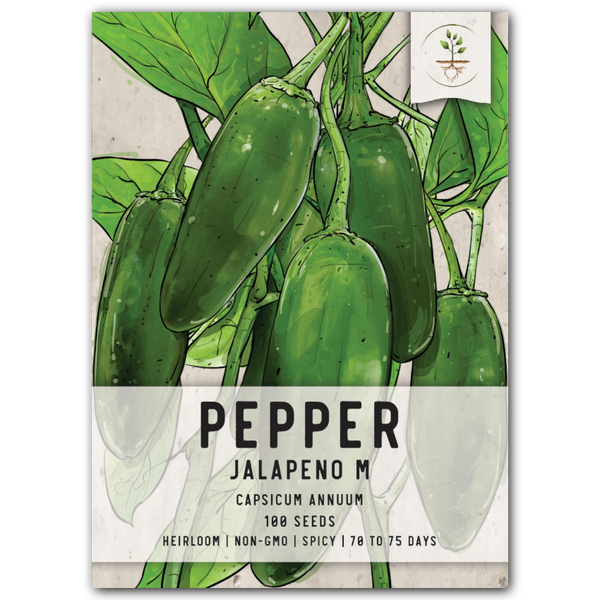 Jalapeño M Hot Pepper Seeds For Planting (Capsicum annuum)