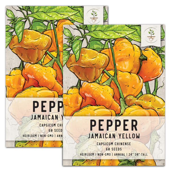 jamaican yellow hot pepper seeds for planting