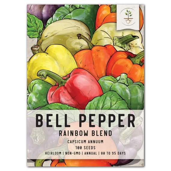 bell pepper seeds for planting Rainbow Bell Pepper Seeds For Planting (Capsicum Annuum) Seed Needs – Seed Needs LLC