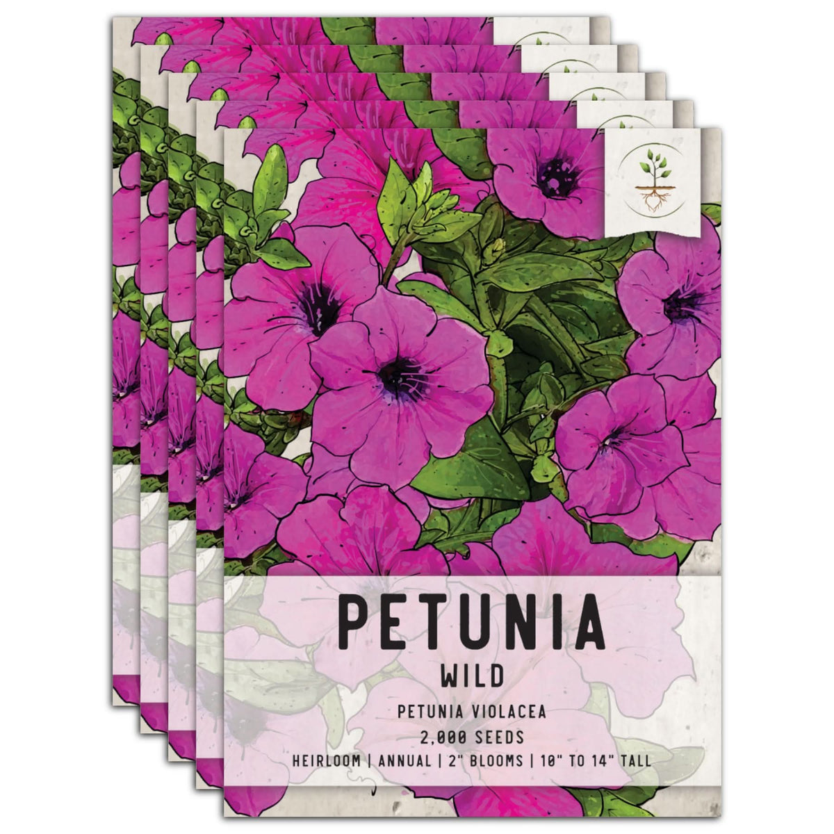 where are the seeds on a petunia plant Wild Petunia Seeds For Planting (Petunia violacea) Seed Needs – Seed Needs  LLC