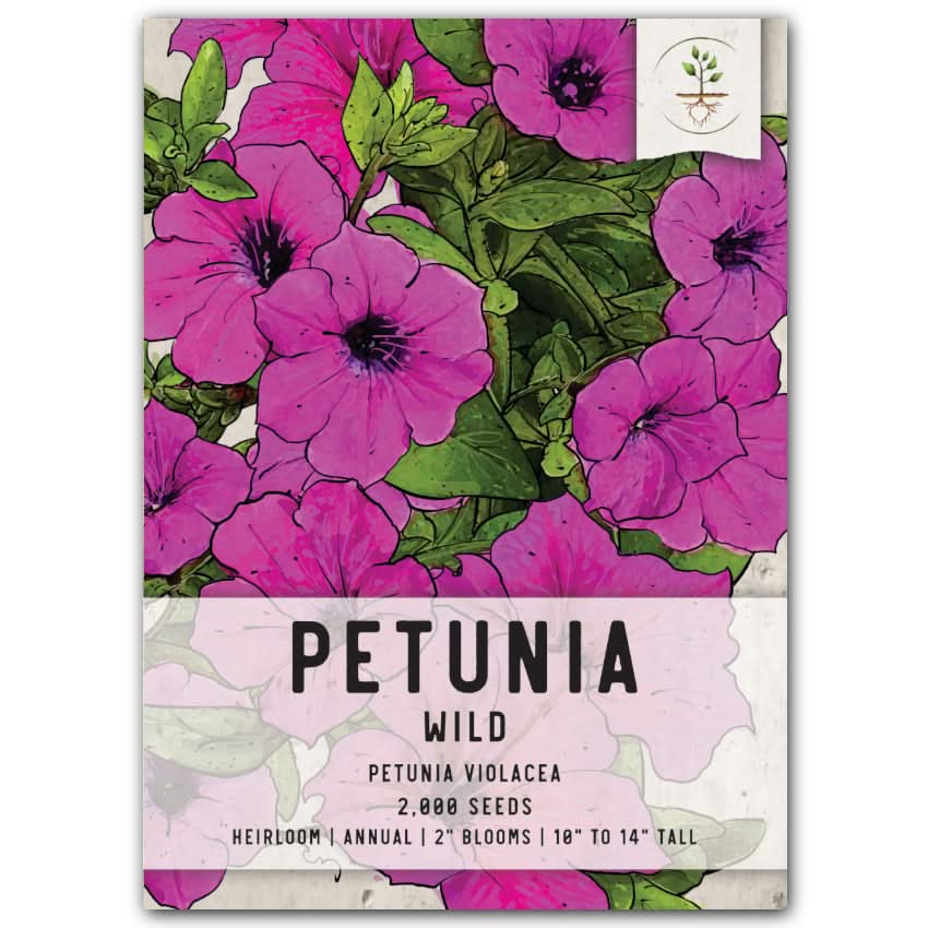 petunia plant seeds Wild Petunia Seeds For Planting (Petunia violacea) Seed Needs – Seed Needs LLC