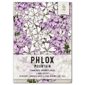 mountain phlox seeds for planting