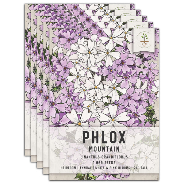 Mountain Phlox Seeds For Planting (Linanthus grandiflorus)