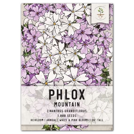 phlox flower seeds Mountain Phlox Seeds For Planting (Linanthus grandiflorus) Seed Needs – Seed Needs LLC