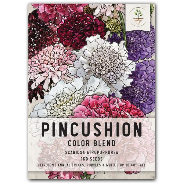 Pincushion Mixture (Scabiosa atropurpurea)