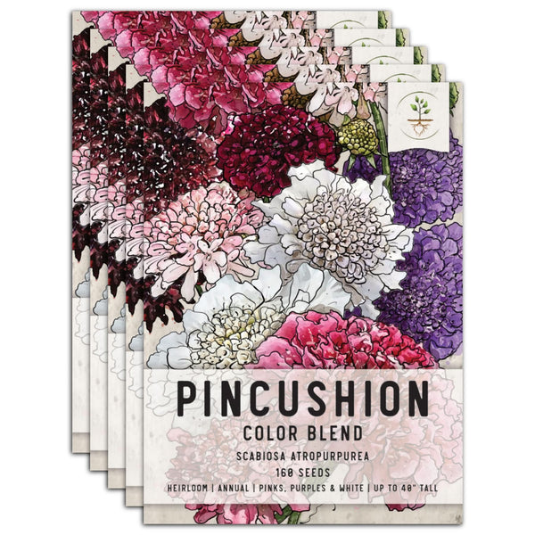 Pincushion Mixture (Scabiosa atropurpurea)