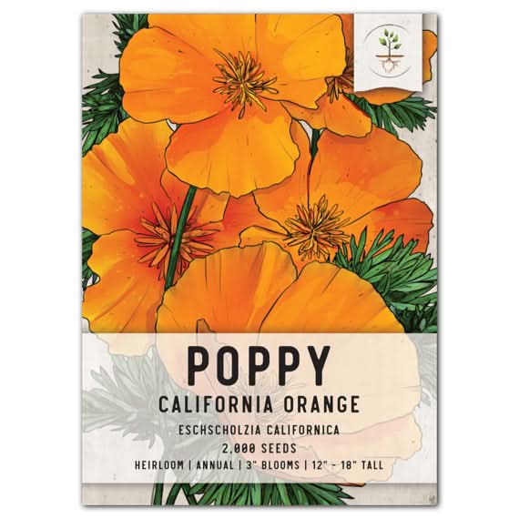 Orange California Poppy Seeds For Planting (Eschscholzia californica) – Seed  Needs LLC
