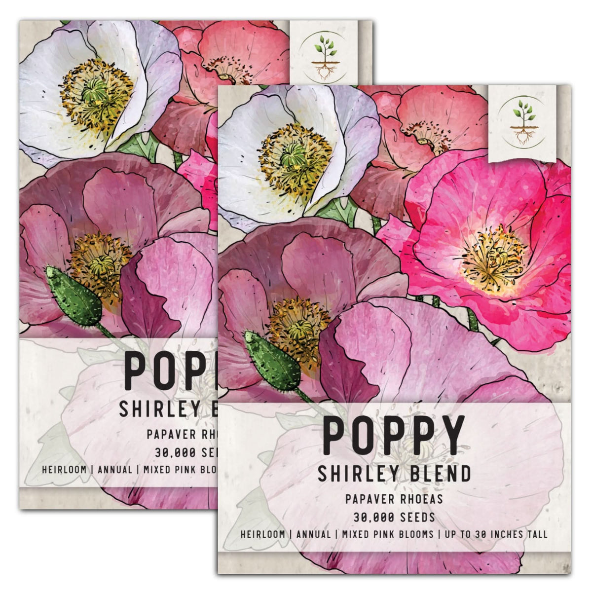 pink poppy flower seeds Shirley Poppy Seeds For Planting (Papaver rhoeas) Seed Needs – Seed Needs  LLC