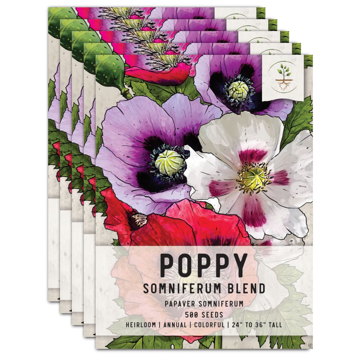 poppy seeds planting Mixed Somniferum Poppy Seeds For Planting