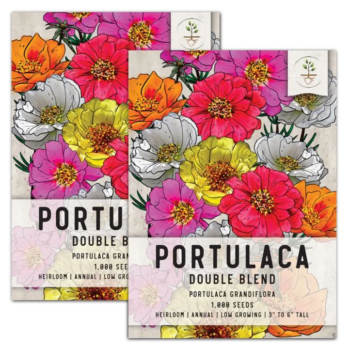 Portulaca Seeds For Planting, Double Blend (Moss Rose) Seed Needs  Seed  Needs LLC
