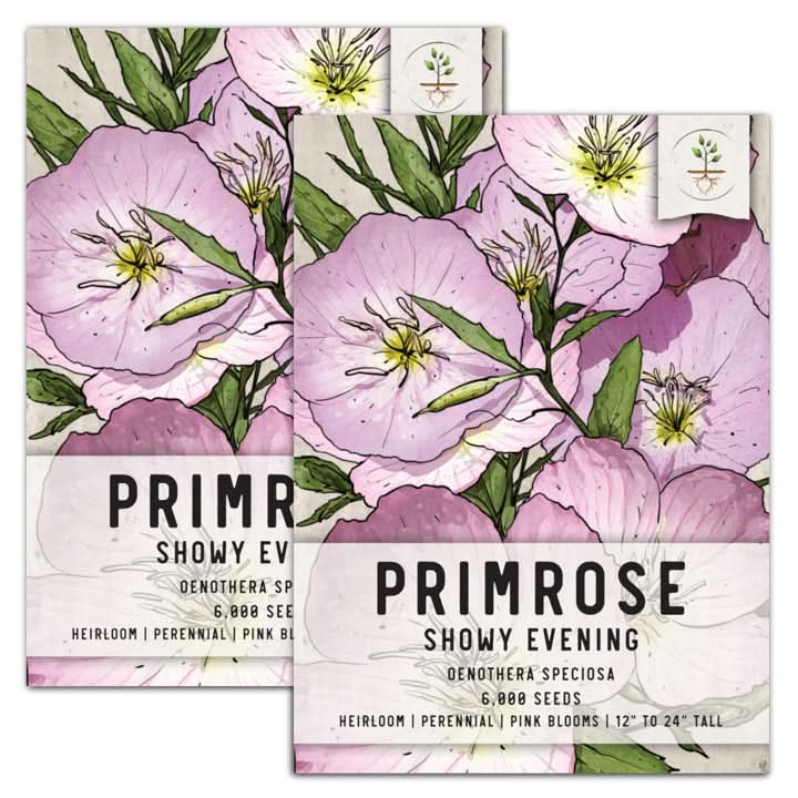 PRIMROSESHOWYEVENING2_1200x120