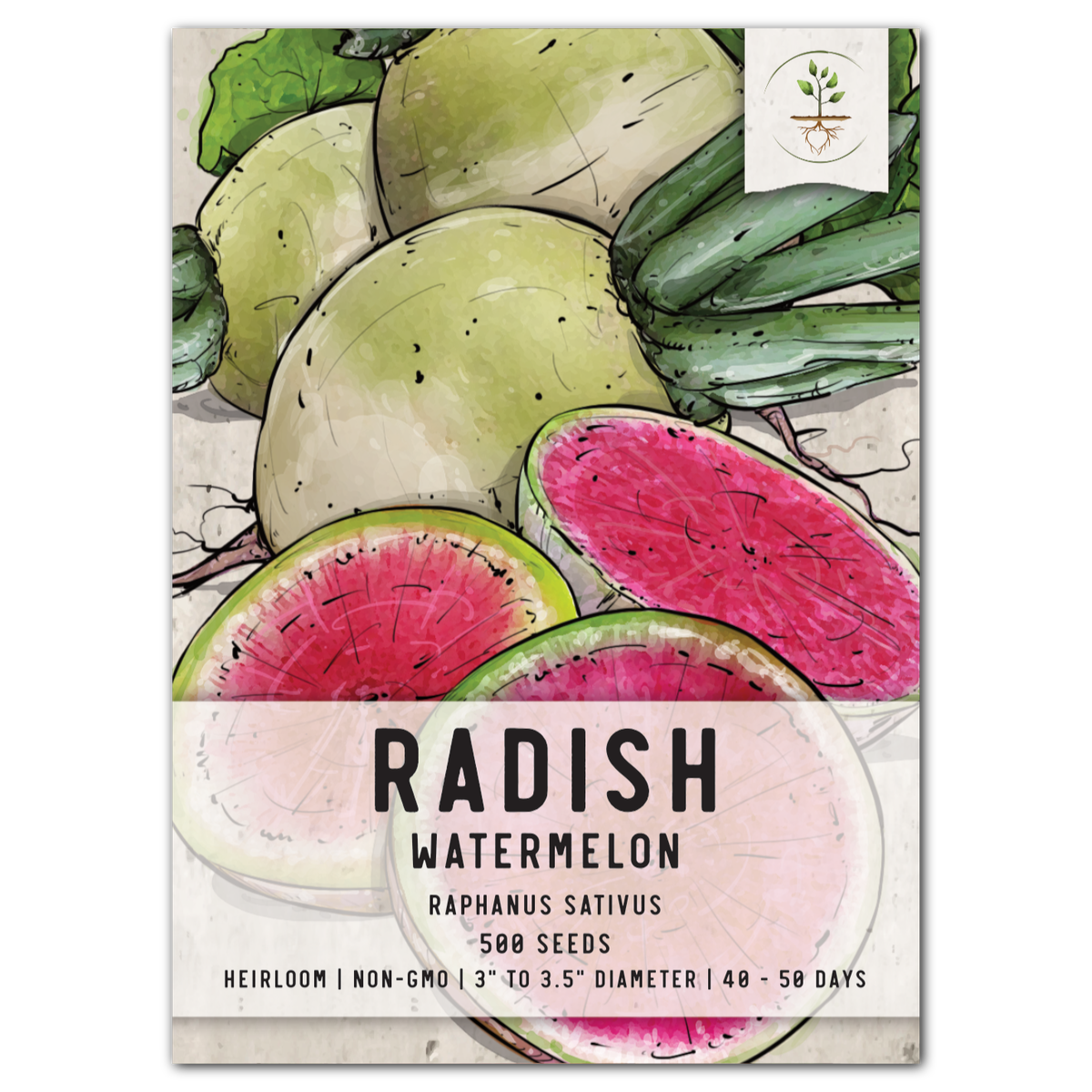 Watermelon Radish Seeds - Non-GMO Heirloom Variety, Super Easy To Grow!