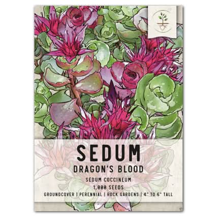 yakuza like a dragon plant seeds Dragon's Blood Sedum Seeds For Planting (Sedum coccineum)