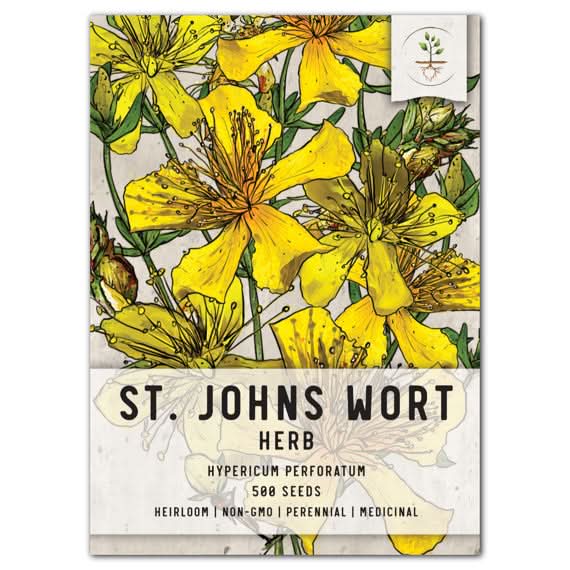 Dried St. John's Wort Herb - Hypericum Perforatum, 50g For Tea & Infusions By Accolent