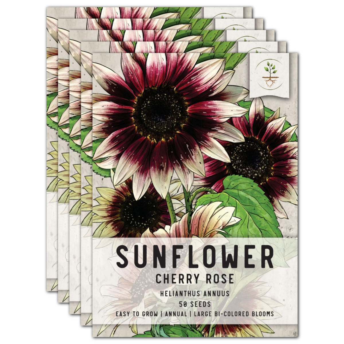 rose seeds walmart Cherry Rose Sunflower Seeds For Planting (Helianthus annuus) – Seed Needs  LLC