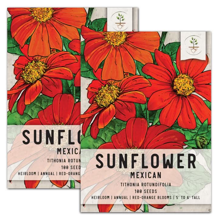 Mexican Sunflower Seed For Planting (Tithonia rotundifolia) Seed Needs –  Seed Needs LLC