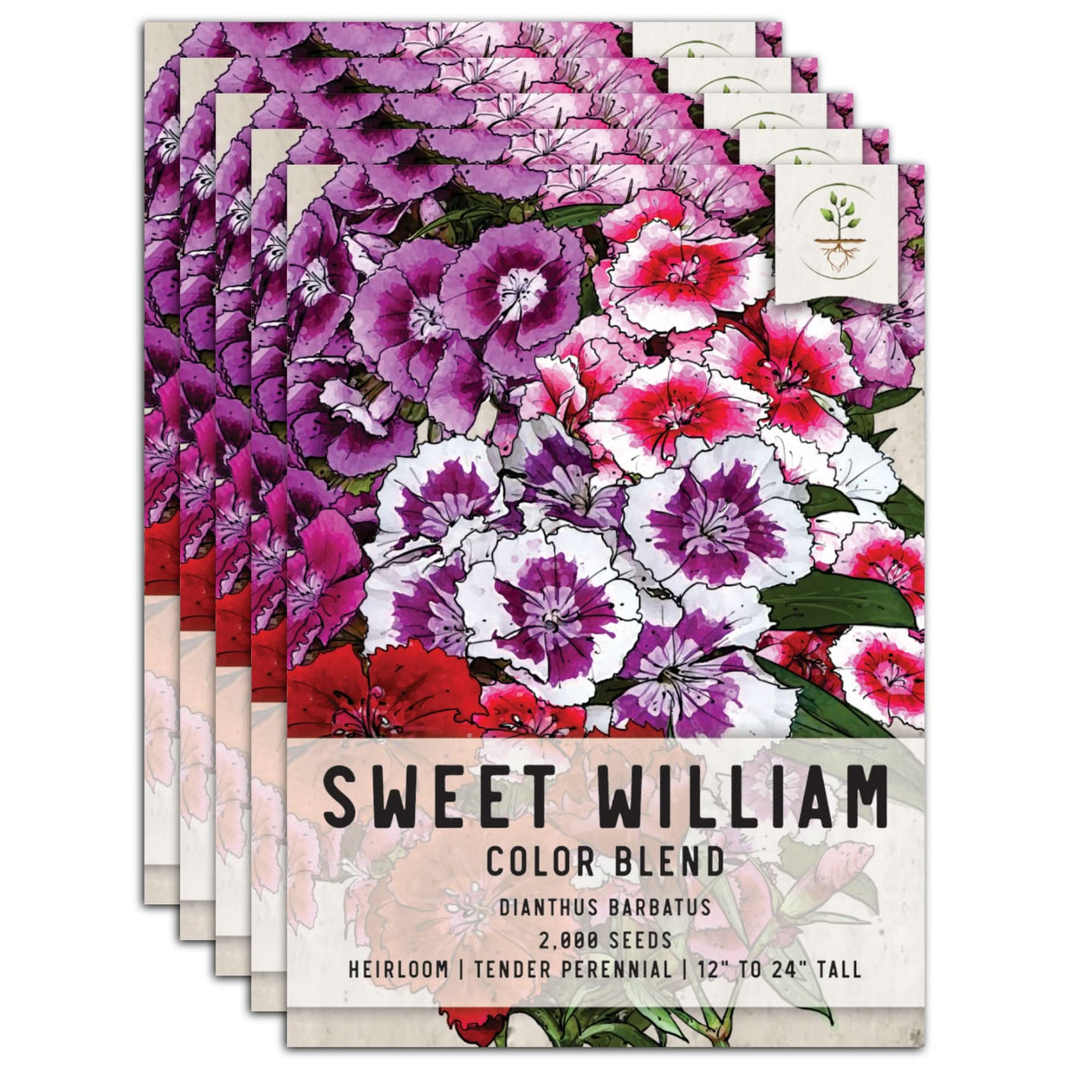 Sweet William Wildflower Seeds For Planting (Dianthus barbatus