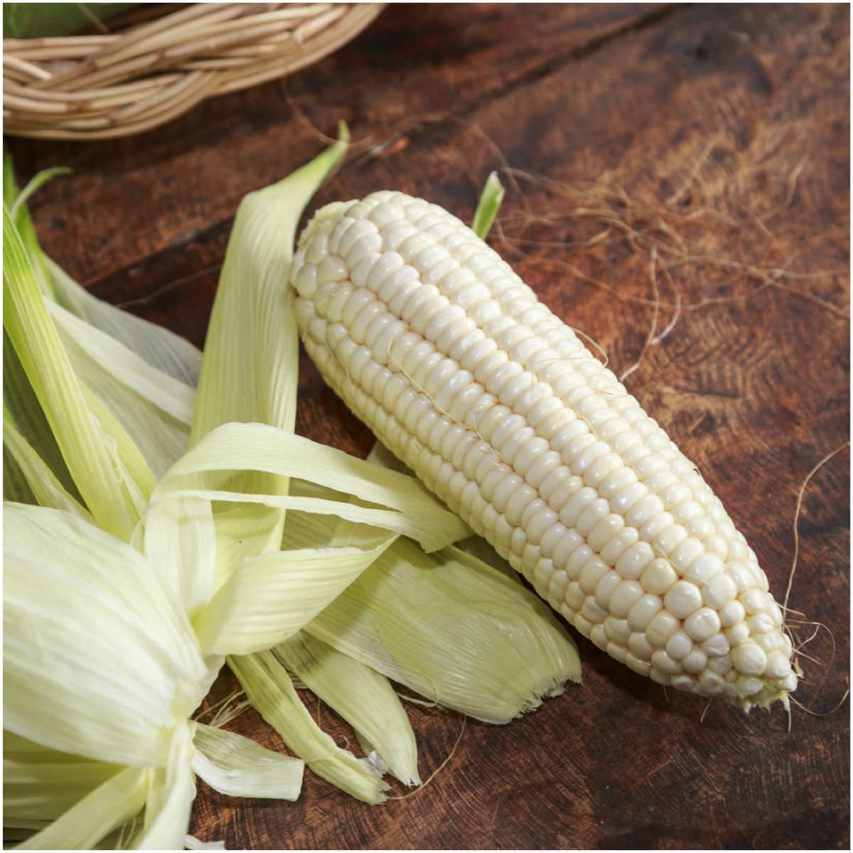planting silver queen corn seeds Silver Queen Corn Seeds For Planting (Zea mays) – Seed Needs LLC