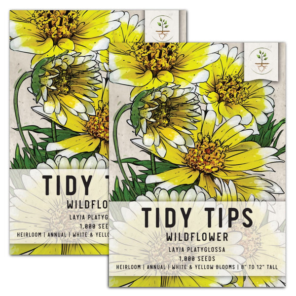 Tidy Tips Seeds For Planting (Layia platyglossa)