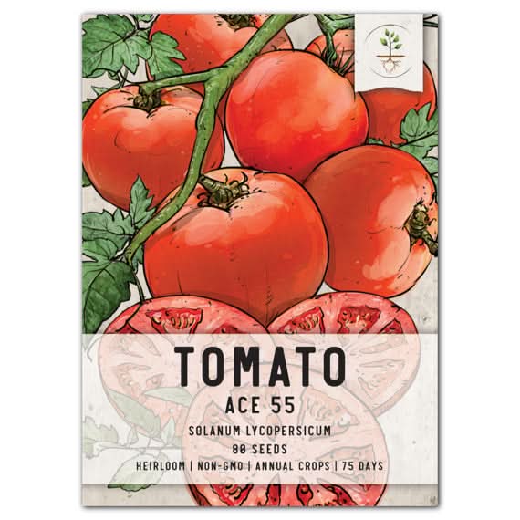 Ace 55 Tomato Seeds For Planting (Solanum lycopersicum) Seed Needs