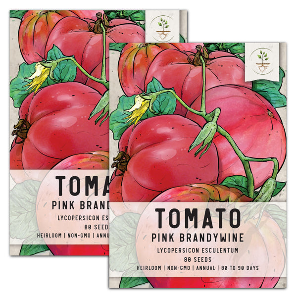 Pink Brandywine Tomato Seeds For Planting (Lycopersicon esculentum)