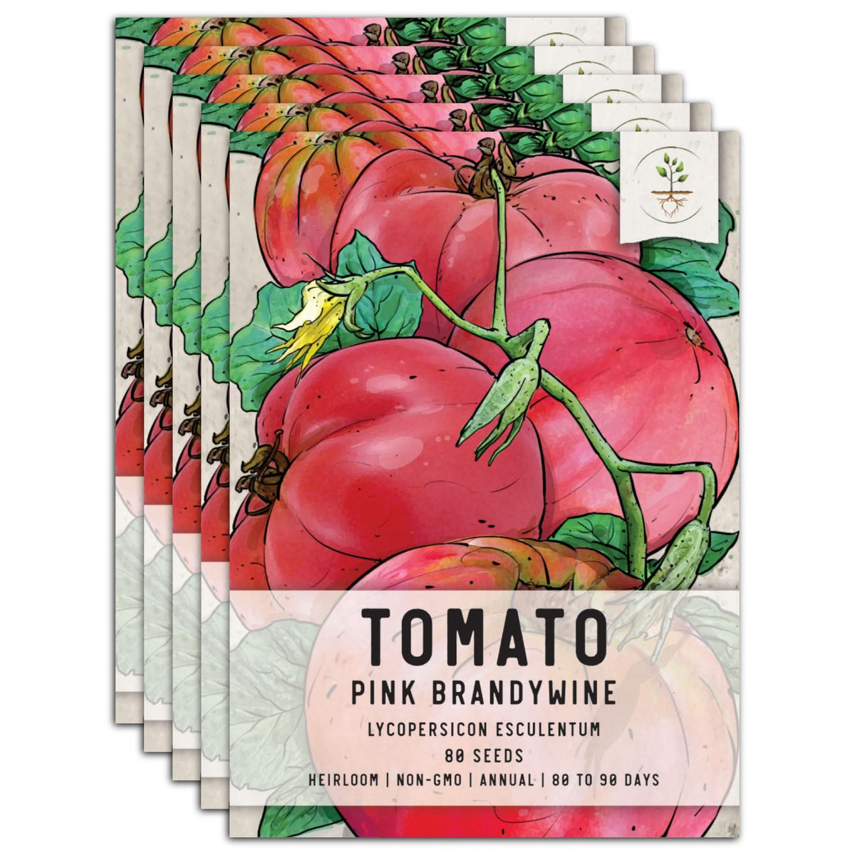 Pink Brandywine Tomato Seeds For Planting (Lycopersicon esculentum