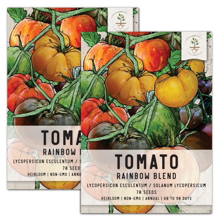 TOMATO　おまとめ商品 Rainbow Tomato Seeds For Planting (Solanum lycopersicum