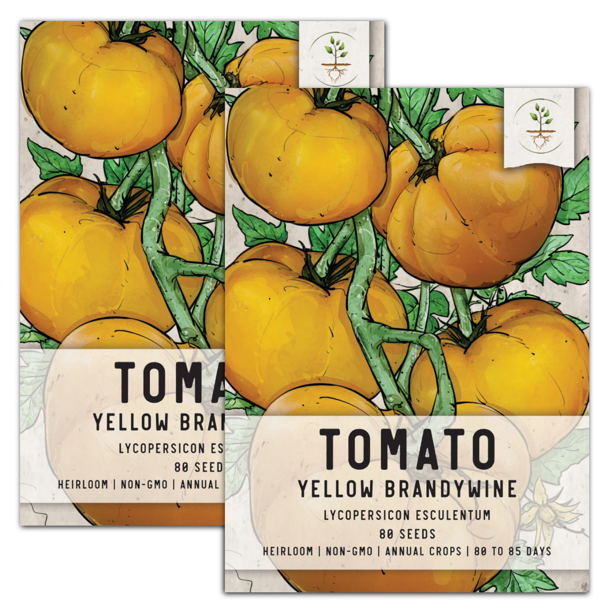 Yellow Brandywine Tomato Seeds For Planting (Lycopersicon esculentum) – Seed  Needs LLC