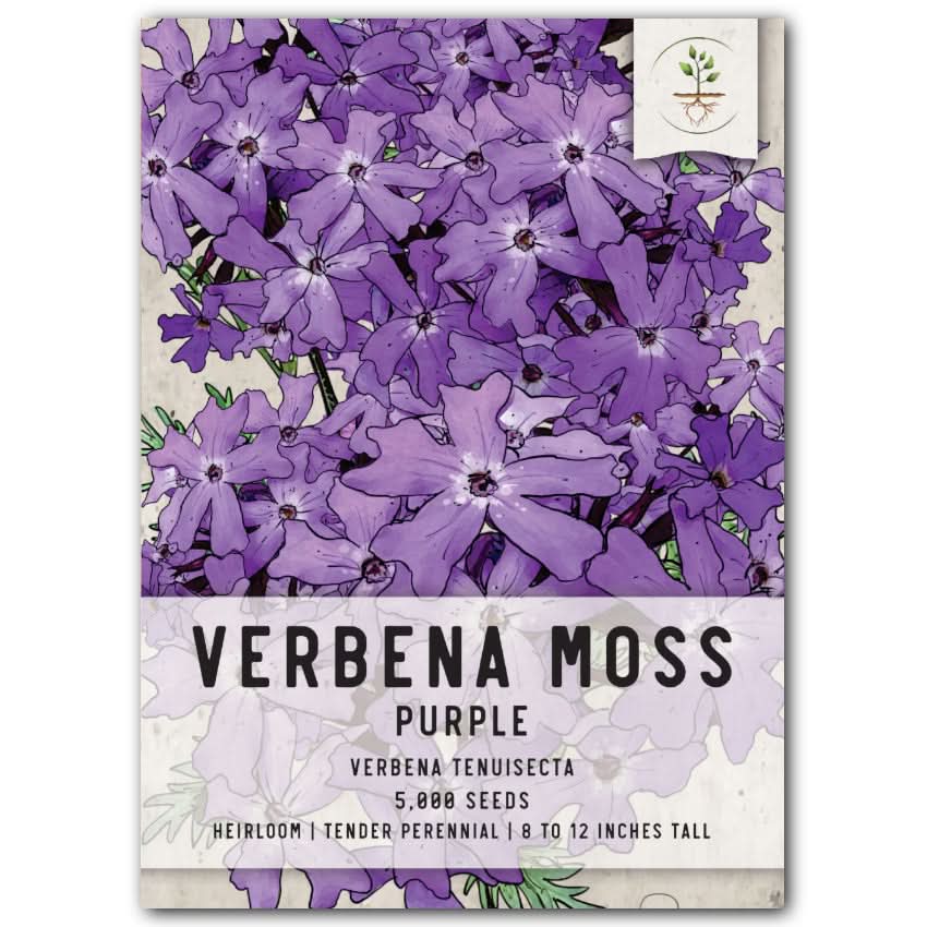 plant verbena seeds Verbena Moss Seeds For Planting (Verbena tenuisecta) Seed Needs – Seed Needs LLC