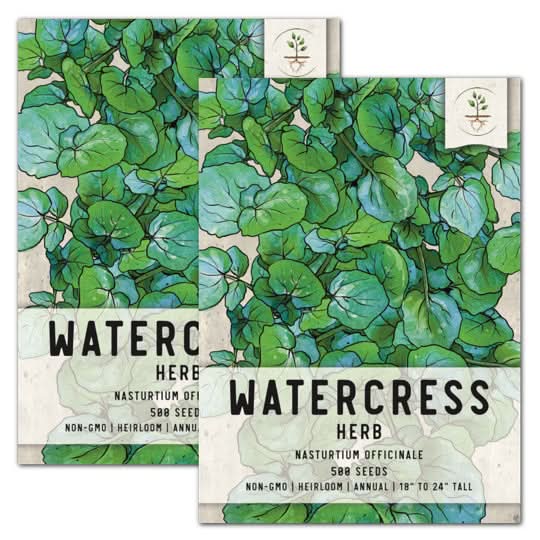 Watercress Herb Seeds For Planting (Nasturtium officinale) Seed Needs  Seed  Needs LLC
