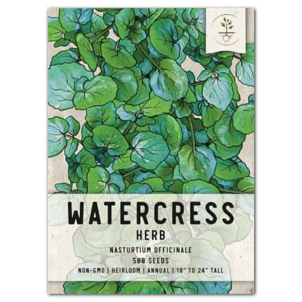 seed under leaf plant health benefits Watercress Herb Seeds For Planting (Nasturtium officinale) Seed Needs – Seed Needs LLC