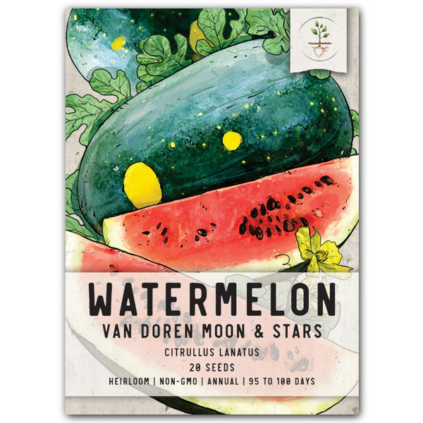 Moon & Stars Watermelon Seeds For Planting "Van Doren" (Citrullus lanatus)
