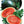 Sugar Baby Watermelon Seeds For Planting (Citrullus lanatus)