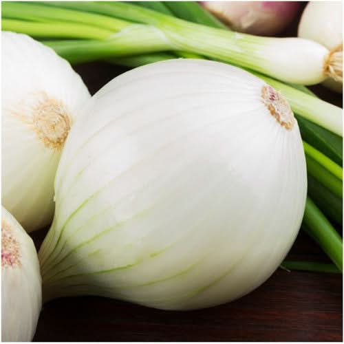 White Sweet Spanish Onion Seeds for planting