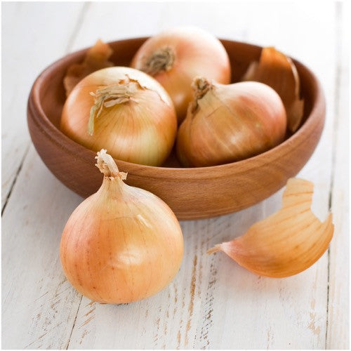 yellow sweet spanish onion seeds for planting