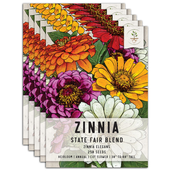 State Fair Zinnia Mixture (Zinnia elegans)