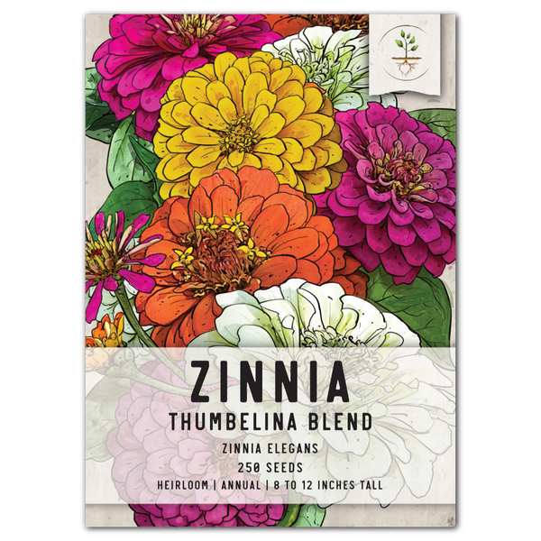 thumbelina zinnia seeds for planting