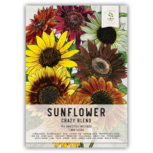 crazy mixed sunflower seeds for planting