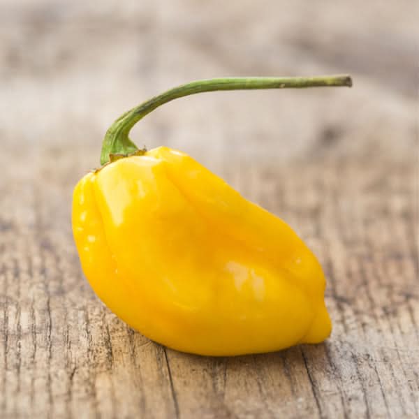 Lemon Habanero Pepper Seeds For Planting (Capsicum chinense)