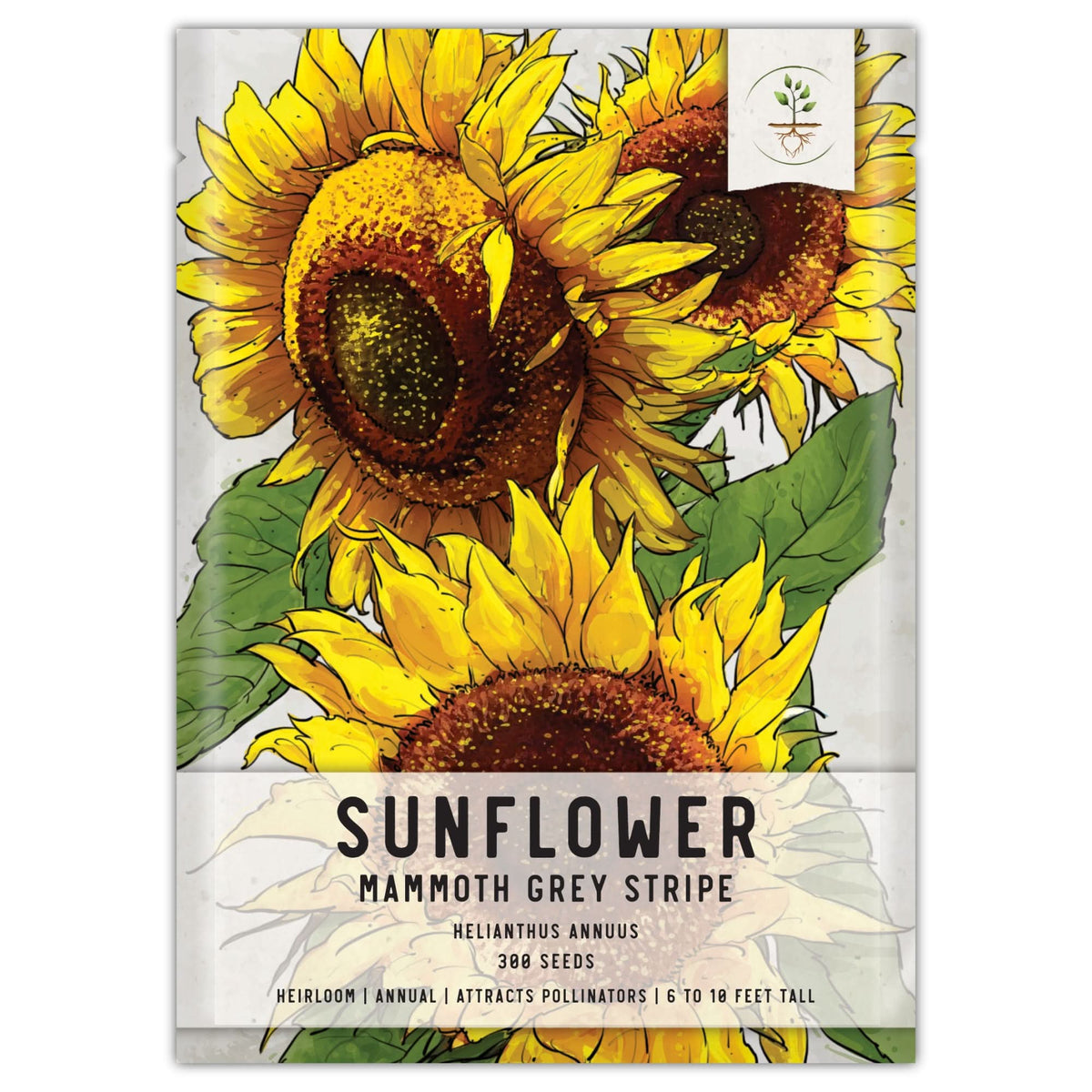Mammoth Grey Stripe Sunflower Seeds For Planting (Helianthus annuus) Seed Needs LLC