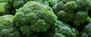 Growing Broccoli, A Gardener's Perfect Guide