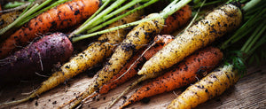 Growing Carrots From Seeds - Easy and Rewarding