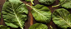 Growing Collards: Add Delicious Versatility to Your Garden