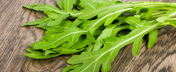 Growing Arugula: What You Need to Know