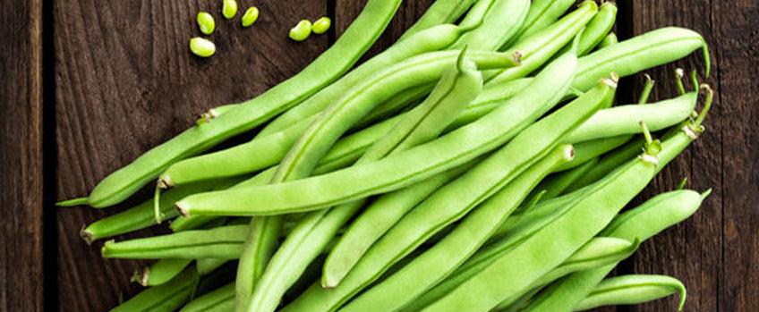 How To Grow Bush Bean Plants