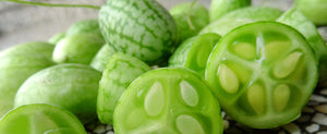growing cucamelon