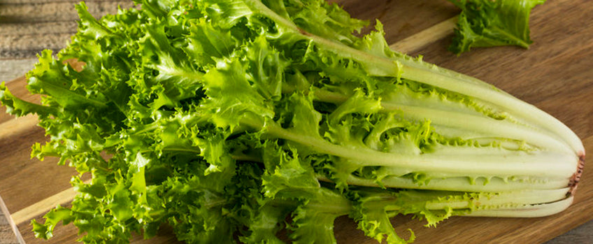 How To Grow Endive Plants